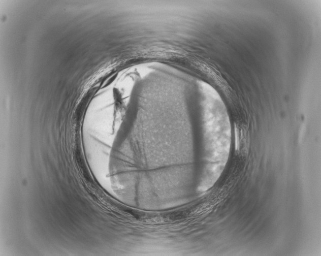 X0000087010675200705141832