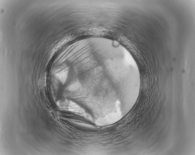 X0000087010679200705141832