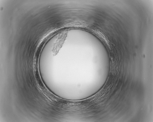 X0000087010680200705141832