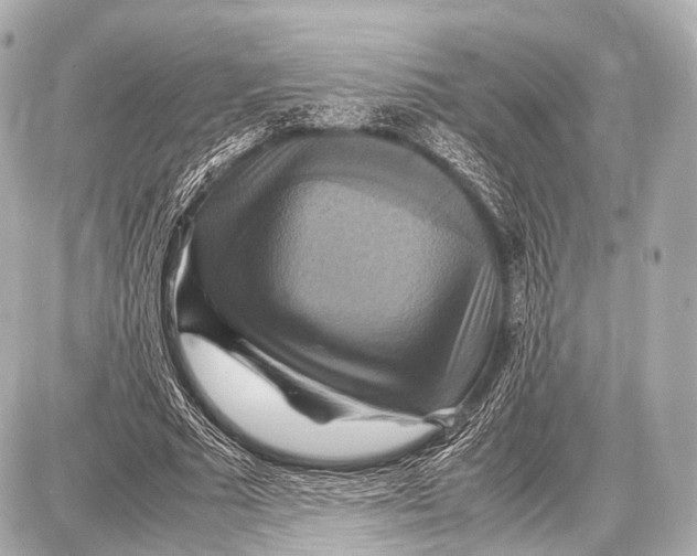 X0000087010681200705141832