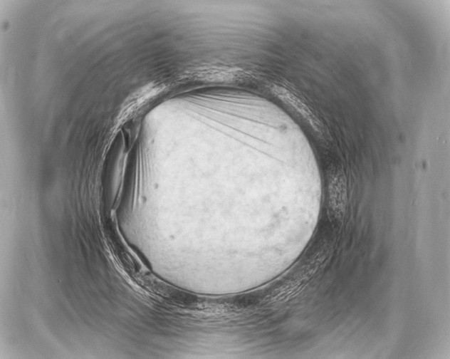 X0000087010682200705141832