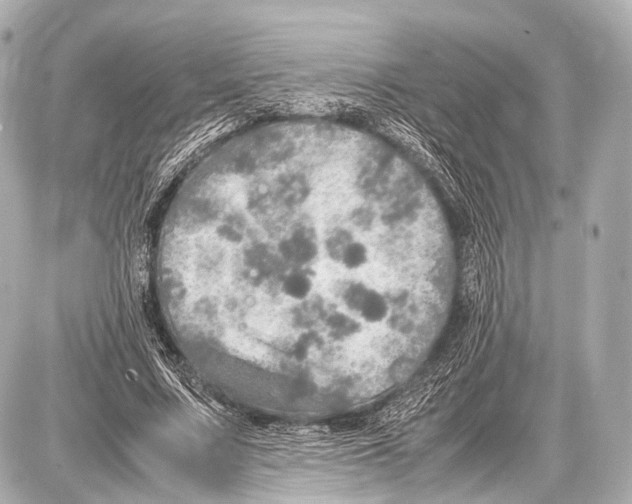 X0000087010683200705141832