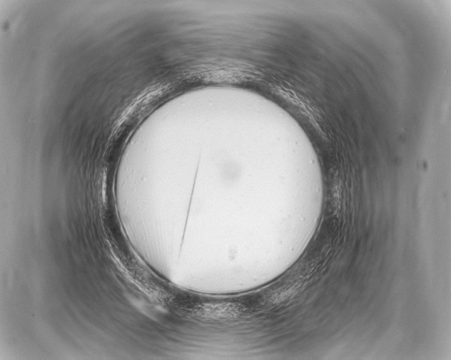 X0000087010686200705141832