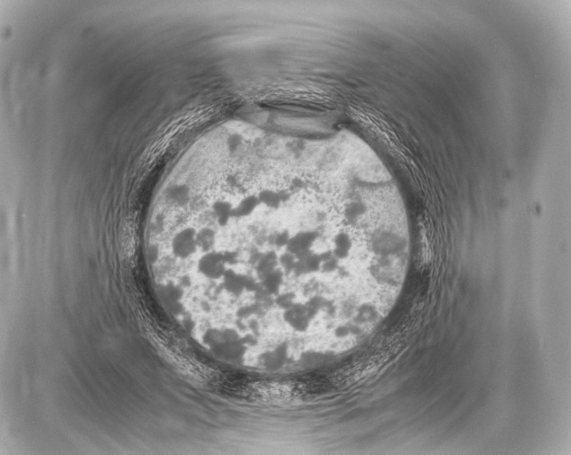 X0000087010687200705141832