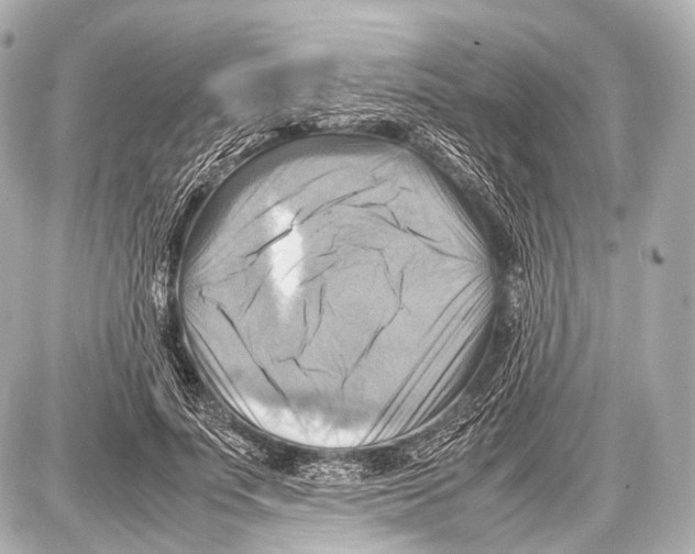 X0000087010691200705141832