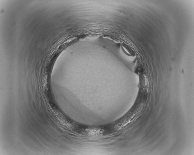 X0000087010693200705141832