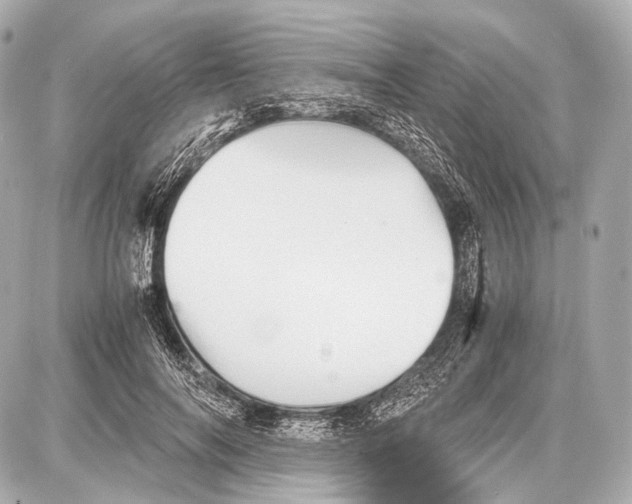 X0000087010694200705141832