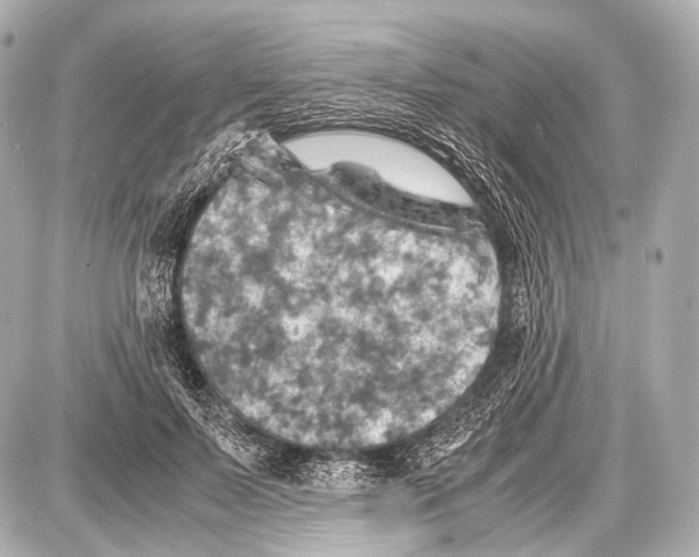 X0000087010695200705141832