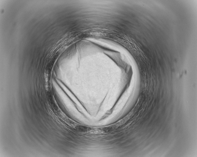 X0000087010696200705141832