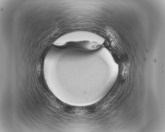 X0000087010697200705141832