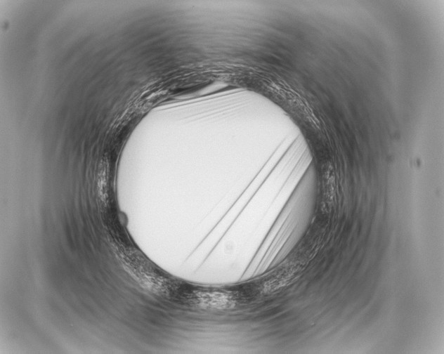 X0000087010698200705141831