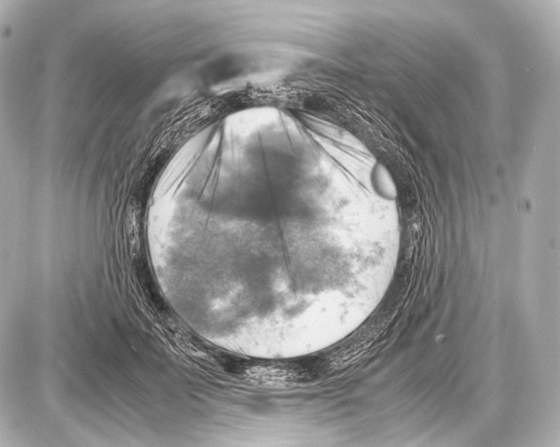 X0000087010699200705141831