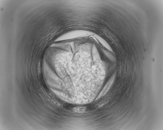 X0000087010700200705141831