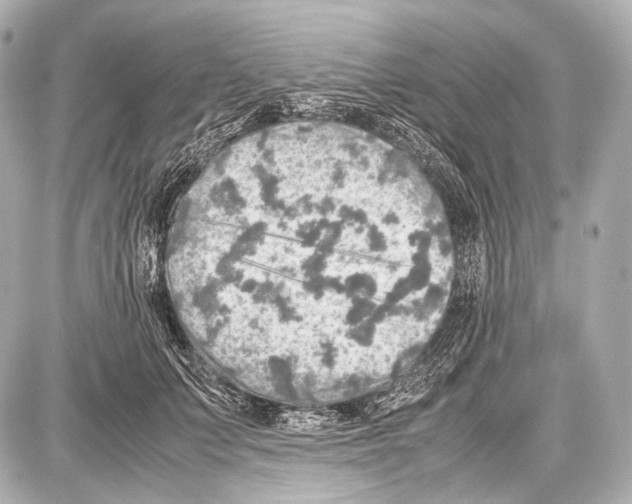 X0000087010703200705141831