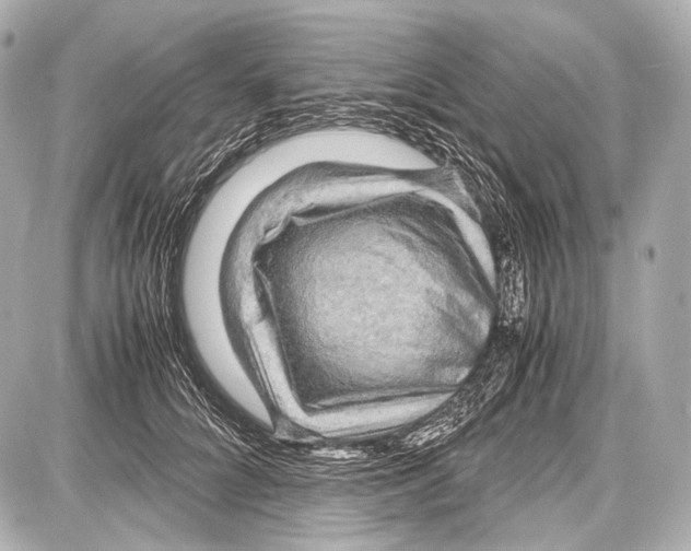 X0000087010704200705141831