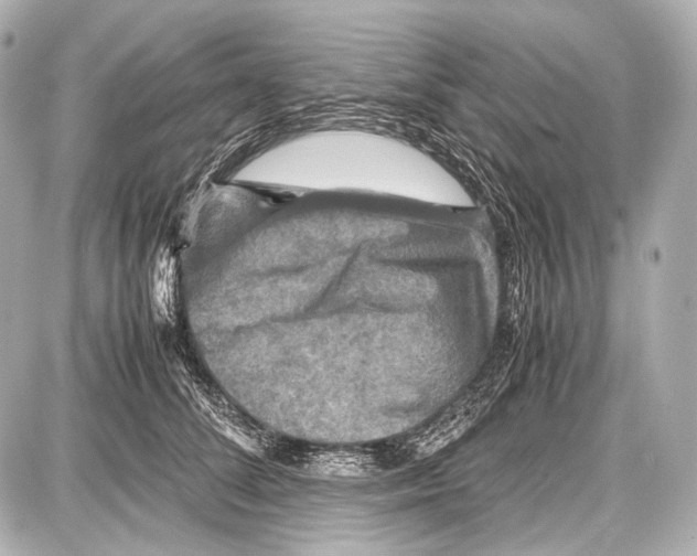 X0000087010708200705141831