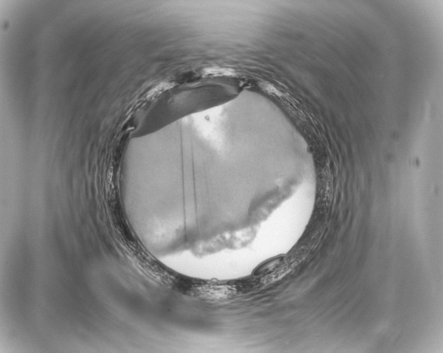 X0000087010711200705141831