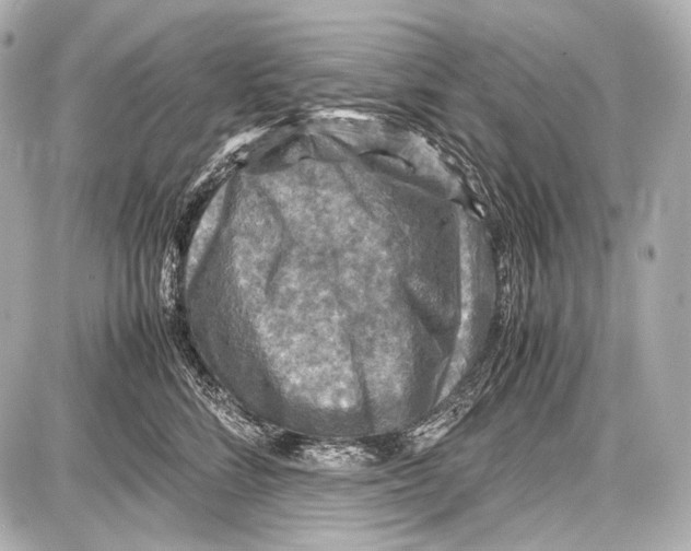 X0000087010712200705141831