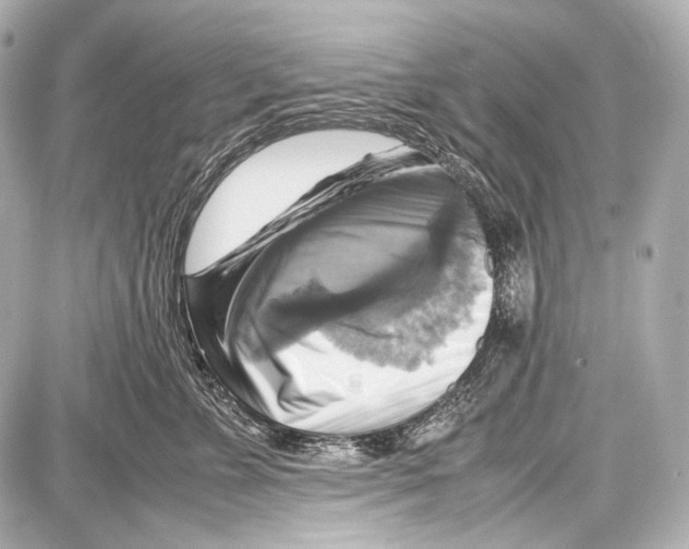 X0000087010715200705141831