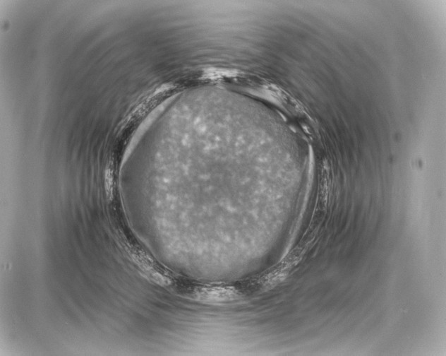 X0000087010716200705141831