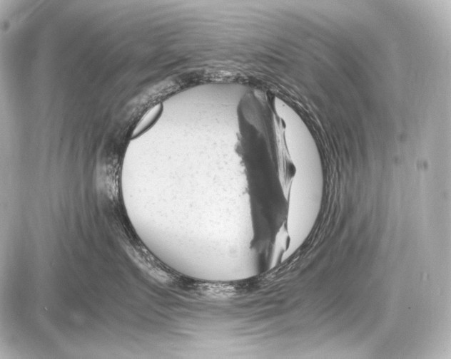 X0000087010719200705141831