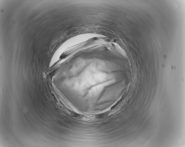 X0000087010720200705141831