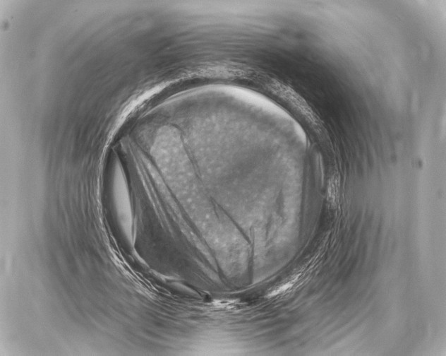 X0000087010724200705141830