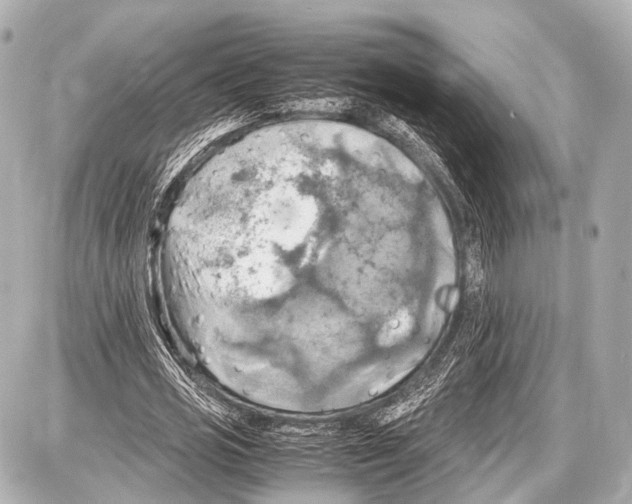 X0000087010725200705141830