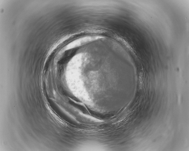 X0000087010726200705141830