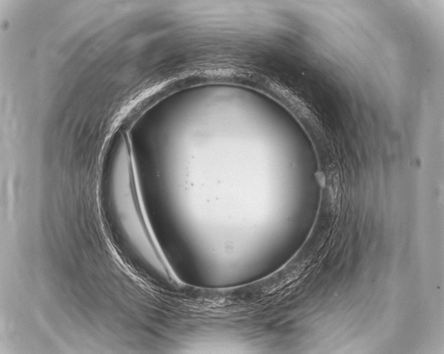 X0000087010728200705141830