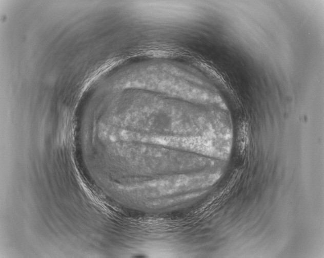 X0000087010730200705141830