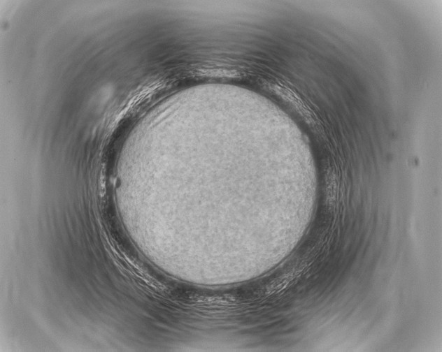 X0000087010731200705141831