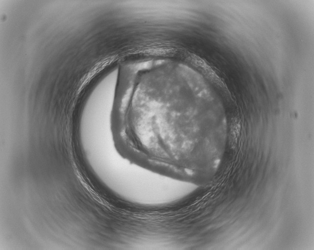 X0000087010734200705141831