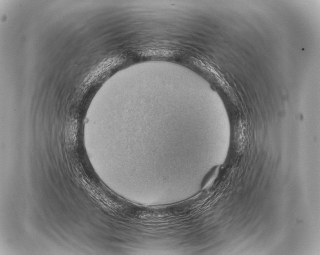 X0000087010735200705141831