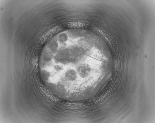 X0000087010737200705141831