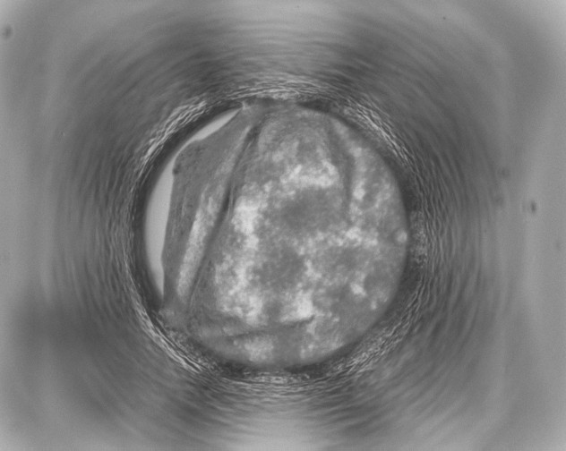 X0000087010738200705141831