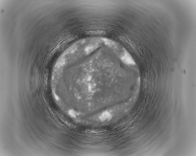 X0000087010739200705141831