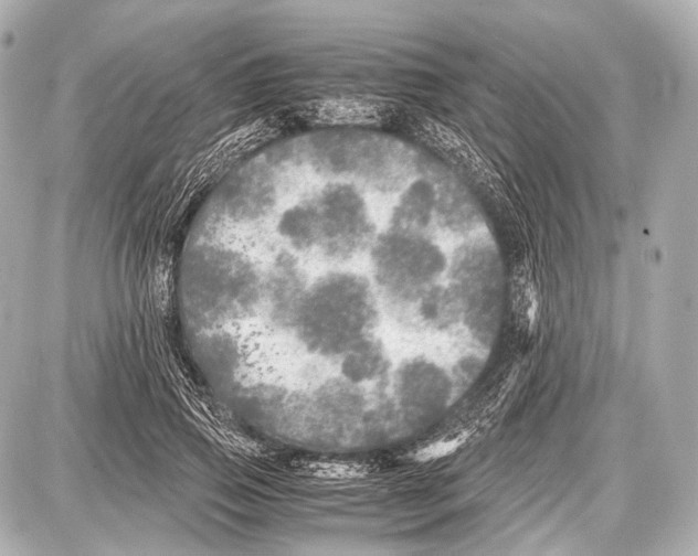 X0000087010741200705141831