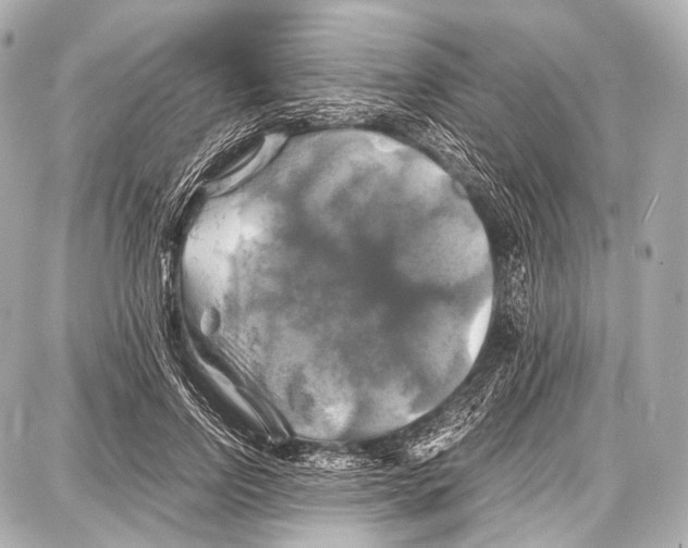 X0000087010742200705141831