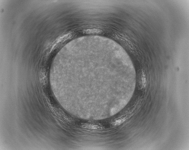 X0000087010743200705141831