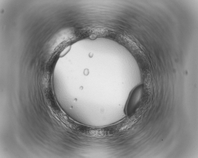 X0000087010744200705141831