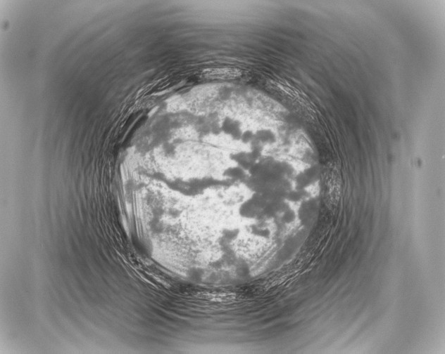 X0000087010745200705141831