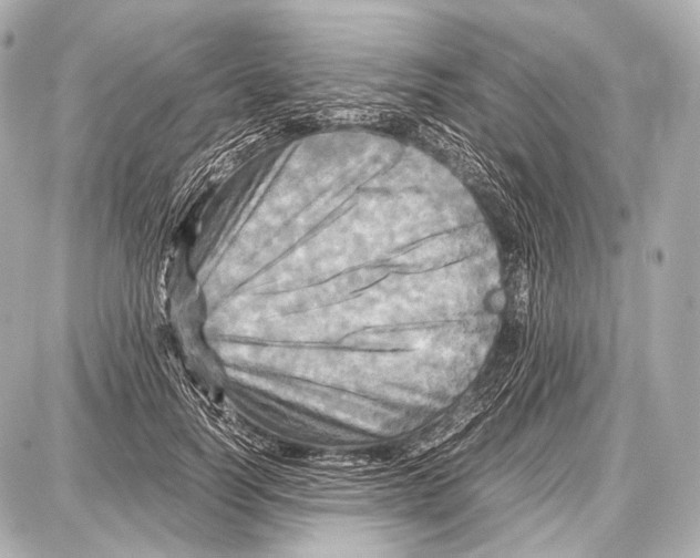 X0000087010746200705141831