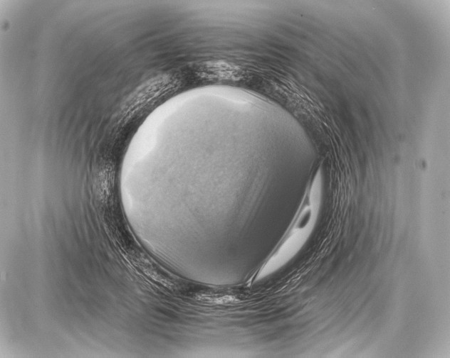 X0000087010747200705141831