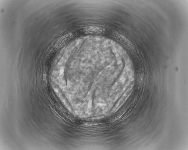 X0000087010749200705141831