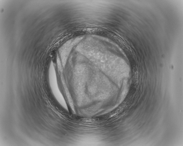 X0000087010750200705141831