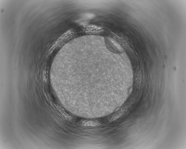 X0000087010755200705141831