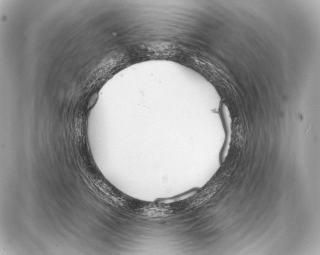 X0000087010756200705141831