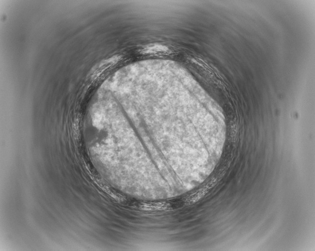 X0000087010757200705141831