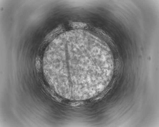 X0000087010761200705141831